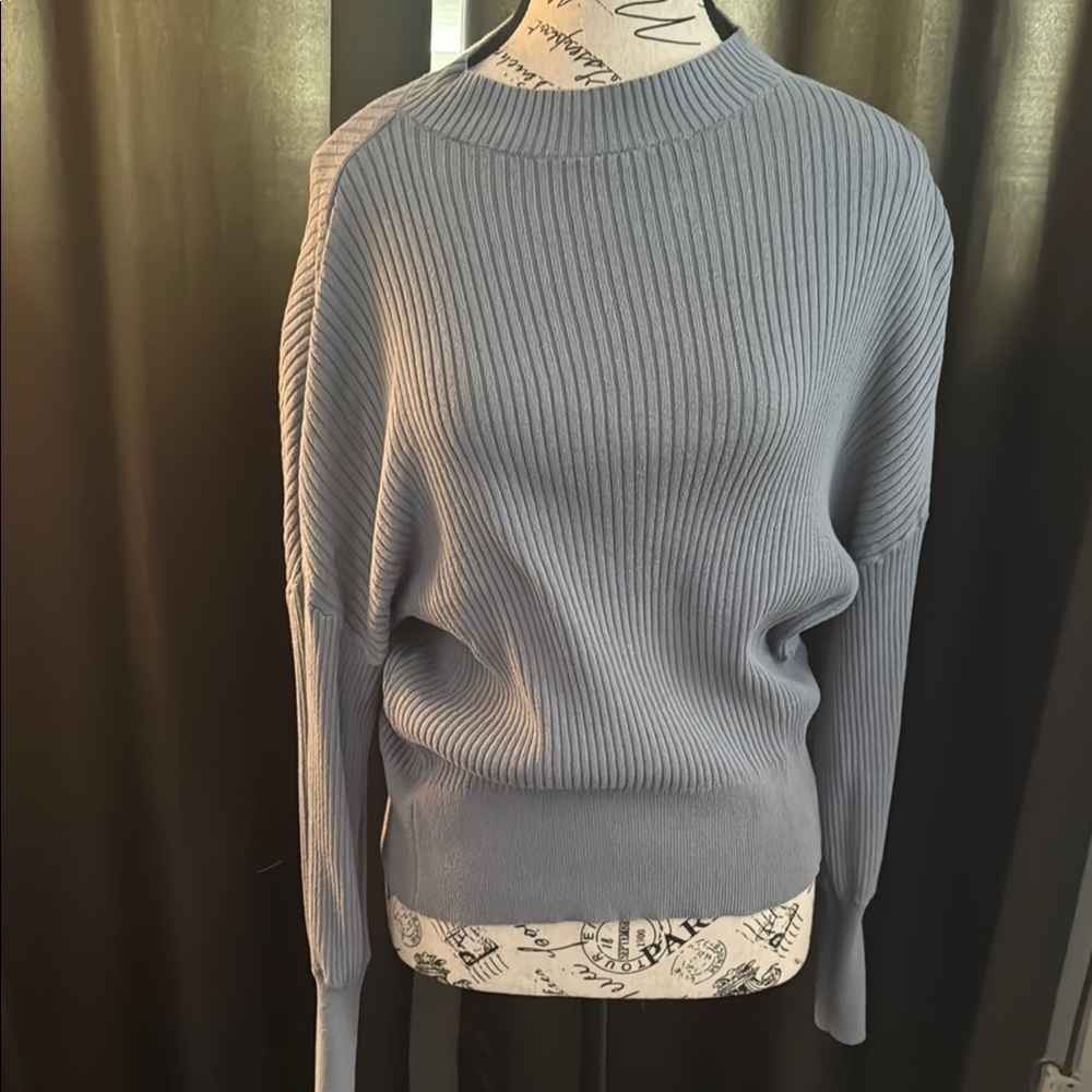 Express Blue Crew Neck Sweater